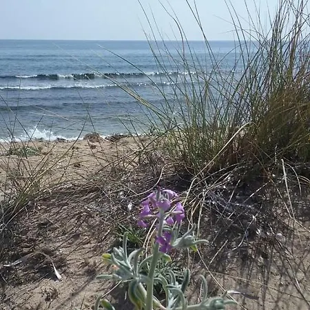 Couette-café Letizia